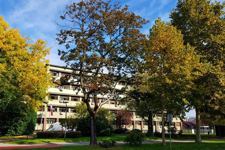 Odgovorno tijelo